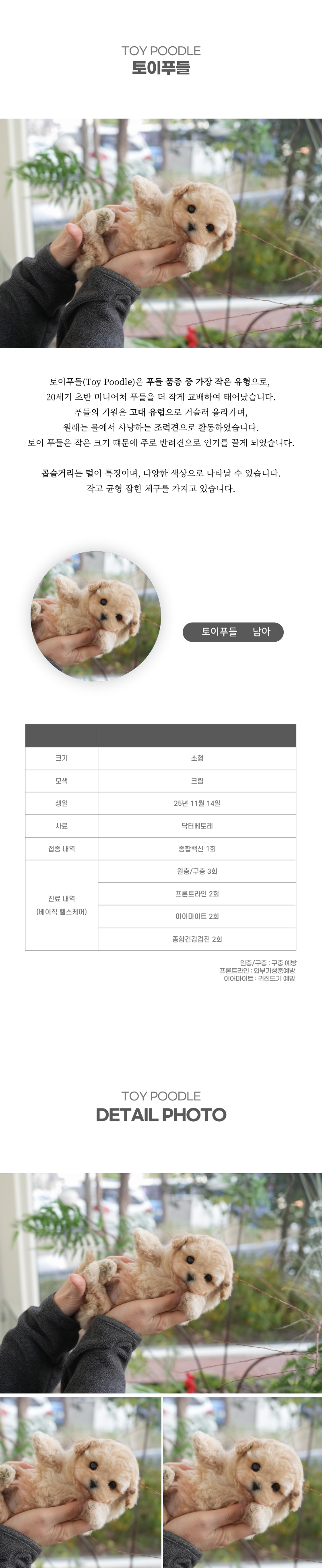 토이푸들_상세이미지_2